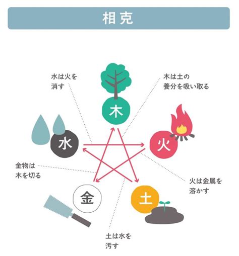 金剋木化解|五行相剋之謎：金為什麼剋木？ 